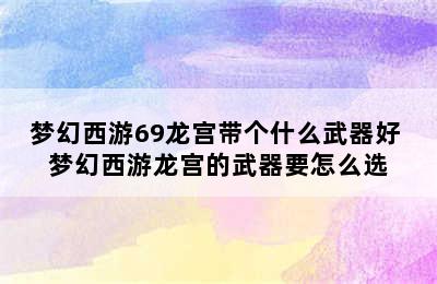 梦幻西游69龙宫带个什么武器好 梦幻西游龙宫的武器要怎么选